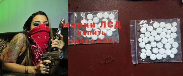 ПСИЛОЦИБИНОВЫЕ ГРИБЫ Алексин