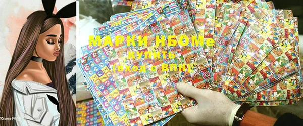 стаф Арсеньев