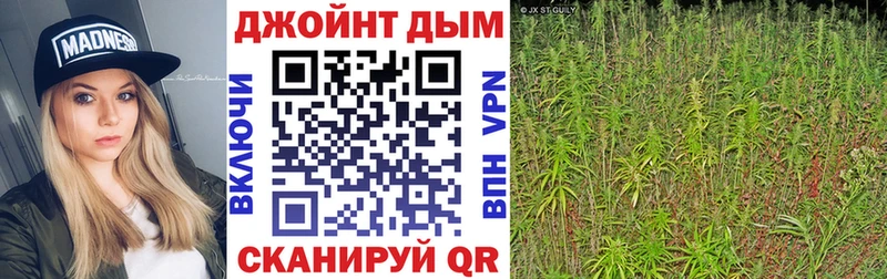 Конопля OG Kush  KRAKEN как зайти  Микунь 
